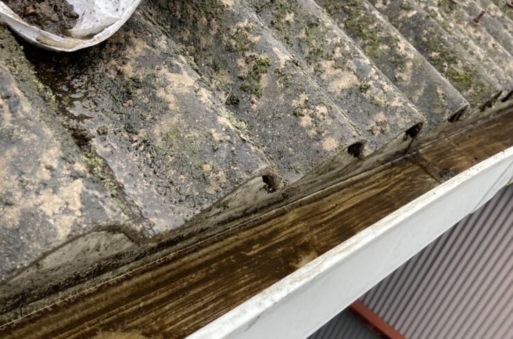 F34669E4-0EC9-4111-94E0-736001664F5D